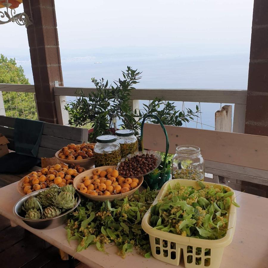 Mary'S Garden Βίλα Tulisevica Εξωτερικό φωτογραφία