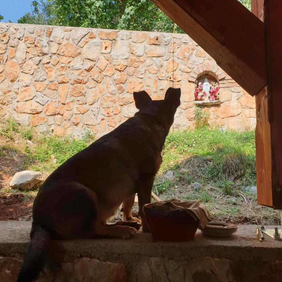 Mary'S Garden Βίλα Tulisevica Εξωτερικό φωτογραφία