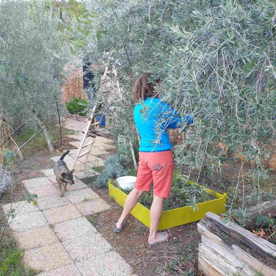 Mary'S Garden Βίλα Tulisevica Εξωτερικό φωτογραφία