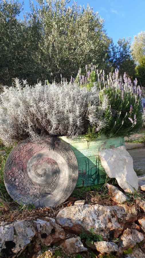 Mary'S Garden Βίλα Tulisevica Εξωτερικό φωτογραφία