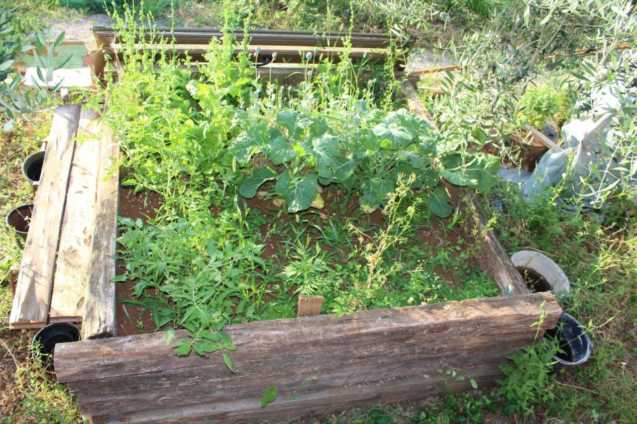 Mary'S Garden Βίλα Tulisevica Εξωτερικό φωτογραφία