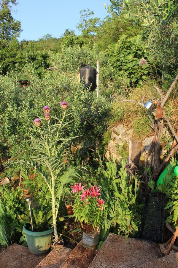 Mary'S Garden Βίλα Tulisevica Εξωτερικό φωτογραφία