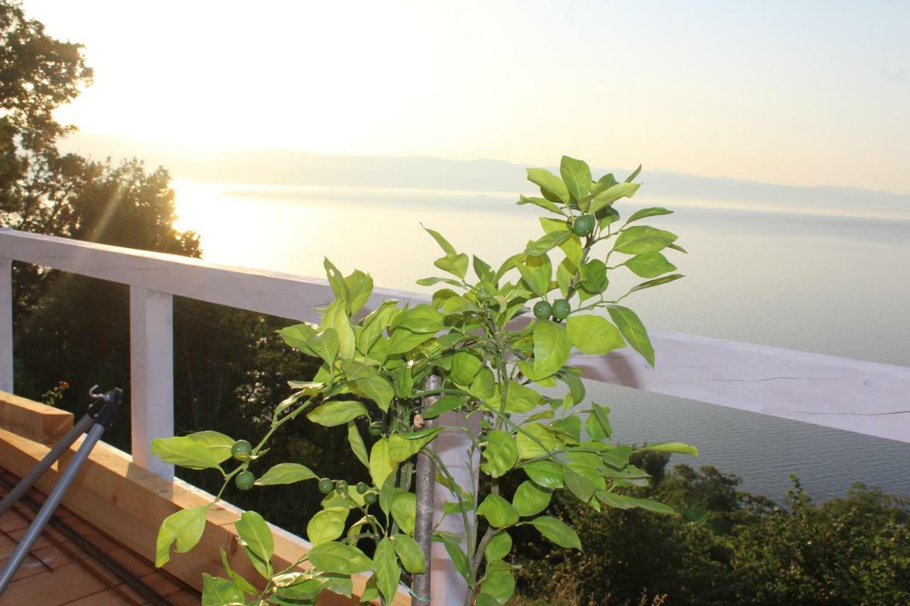 Mary'S Garden Βίλα Tulisevica Εξωτερικό φωτογραφία