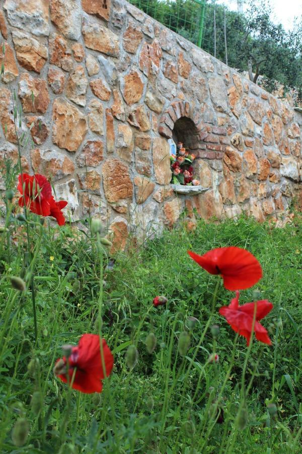 Mary'S Garden Βίλα Tulisevica Εξωτερικό φωτογραφία