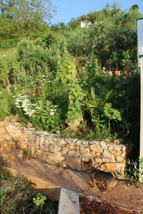 Mary'S Garden Βίλα Tulisevica Εξωτερικό φωτογραφία